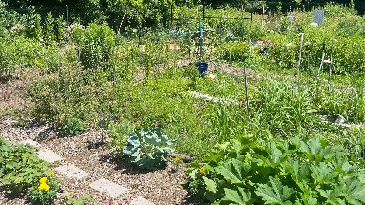 Community garden